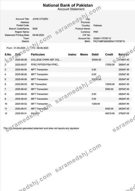 Pakistan National Bank of Pakistan account statement Word and PDF template, version 2